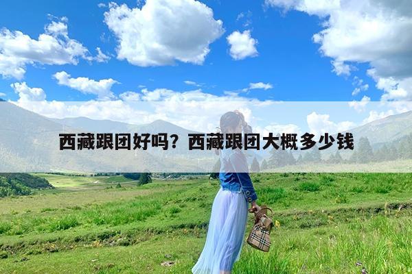 西藏跟团好吗?西藏跟团大概多少钱