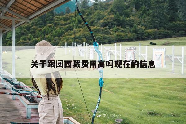 关于跟团西藏费用高吗现在的信息