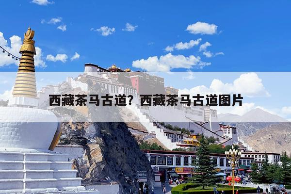 西藏茶马古道?西藏茶马古道图片