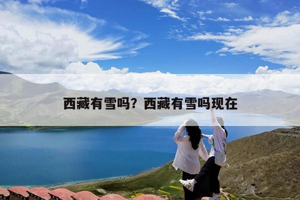 西藏有雪吗?西藏有雪吗现在