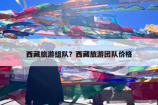 西藏旅游组队?西藏旅游团队价格