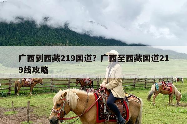 广西到西藏219国道?广西至西藏国道219线攻略
