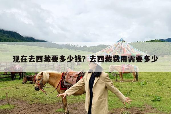 现在去西藏要多少钱?去西藏费用需要多少