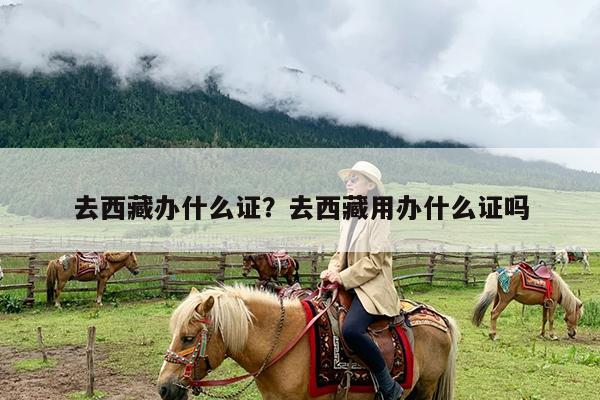 去西藏办什么证?去西藏用办什么证吗