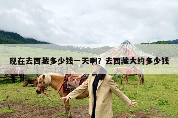 现在去西藏多少钱一天啊?去西藏大约多少钱