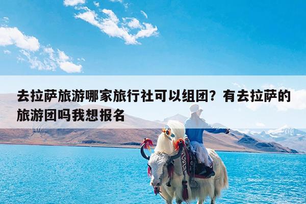 去拉萨旅游哪家旅行社可以组团?有去拉萨的旅游团吗我想报名