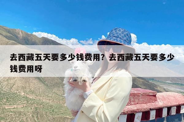 去西藏五天要多少钱费用?去西藏五天要多少钱费用呀