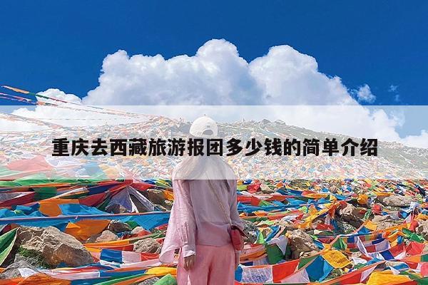 重庆去西藏旅游报团多少钱的简单介绍