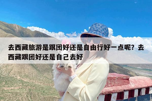 去西藏旅游是跟团好还是自由行好一点呢?去西藏跟团好还是自己去好